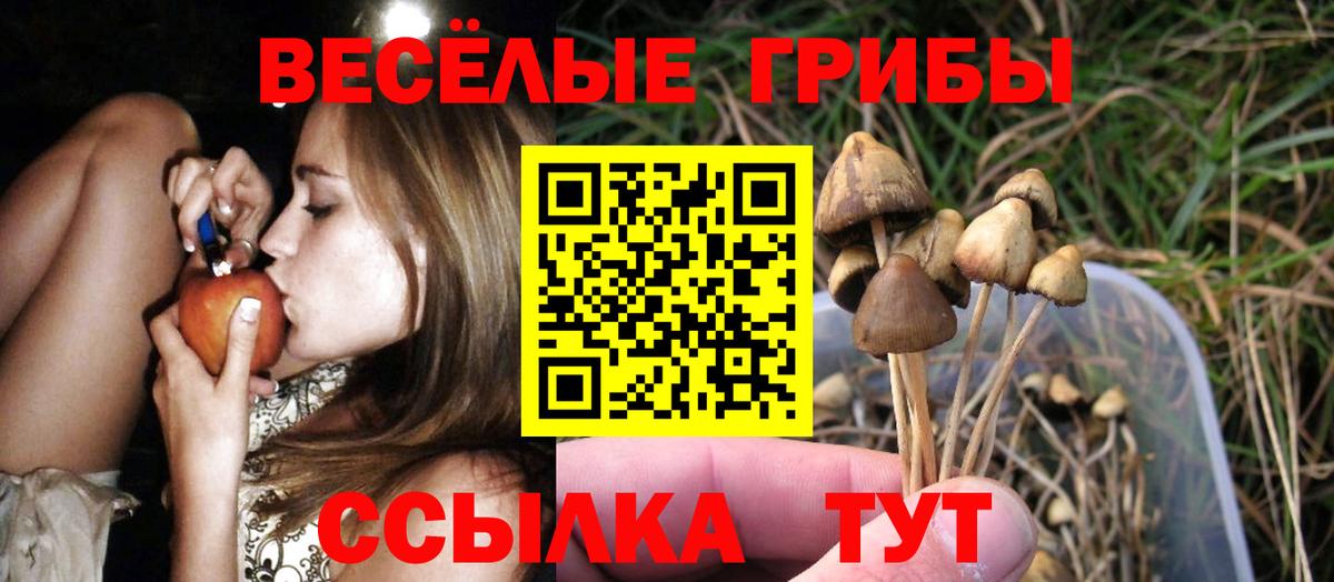 купить  сайты  Псилоцибиновые грибы мицелий  Псилоцибиновые грибы GOLDEN TEACHER  Вход с VPN  Карталы 
